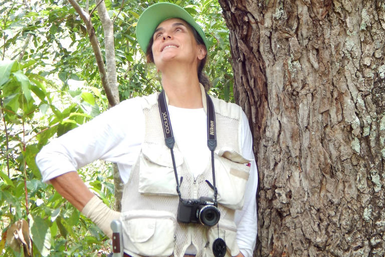 Brasil tem 17 pesquisadores entre os mais citados do mundo em ranking internacional