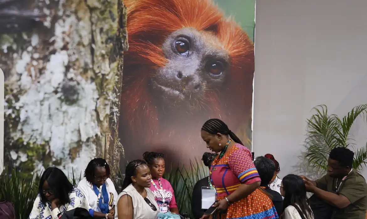 Financiamento para crise climática e transição energética estão no centro das negociações da COP30