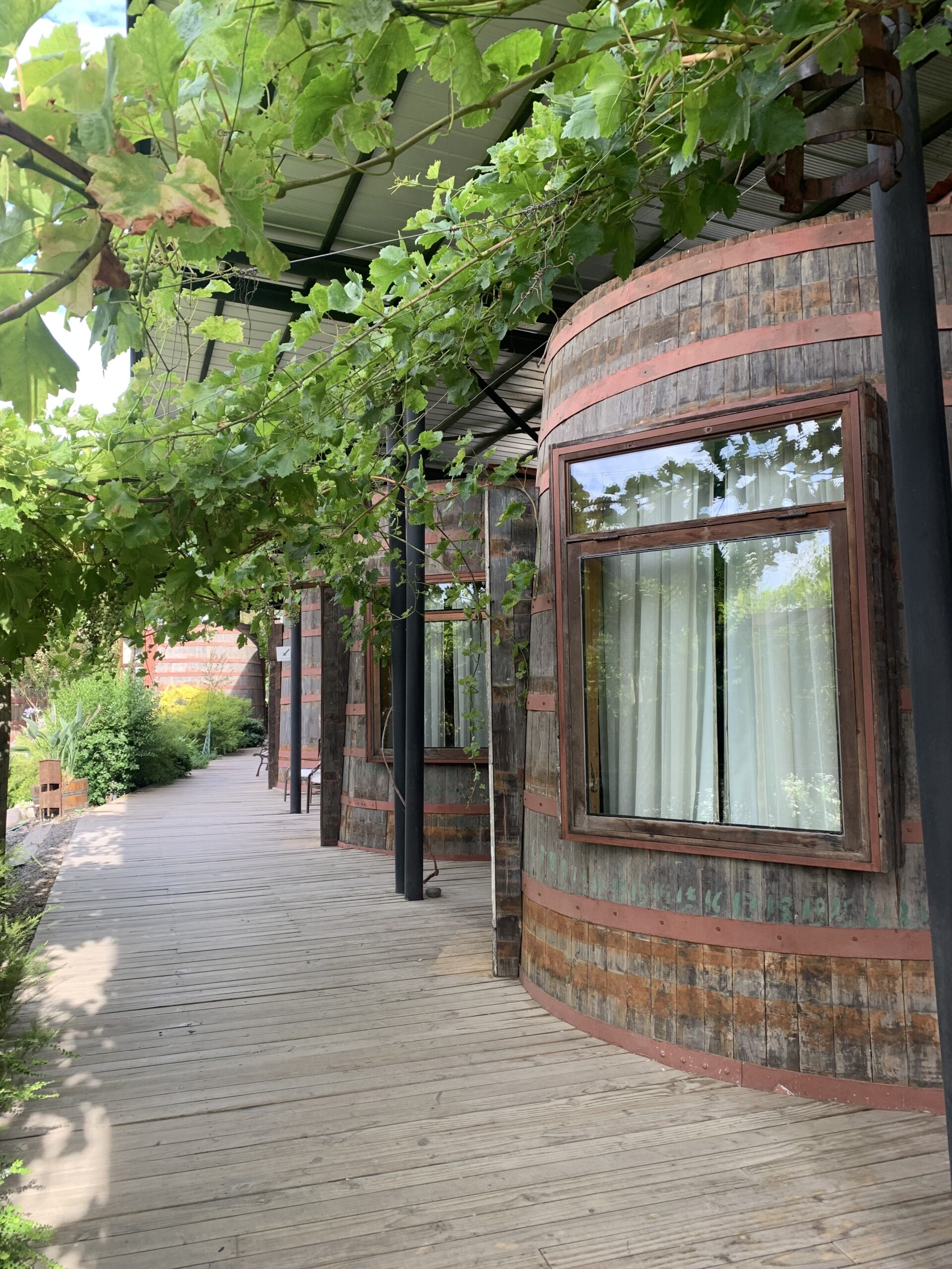 Colchagua: a geografia do vinho