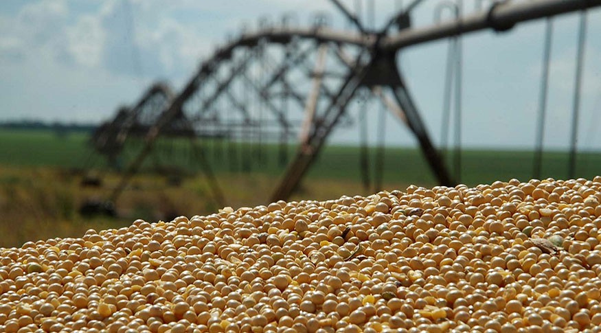 Brasil abre novos mercados na Ásia, África e Europa e acelera diversificação do agro